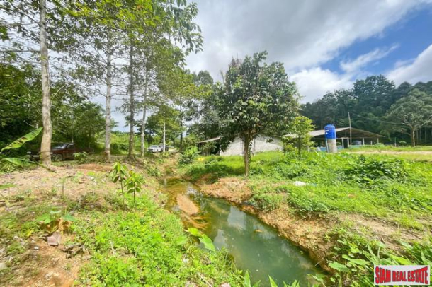 Prime location 98 Rai of land with economic crops near Sametnangshe viewpoint for sale in Phangnga-5