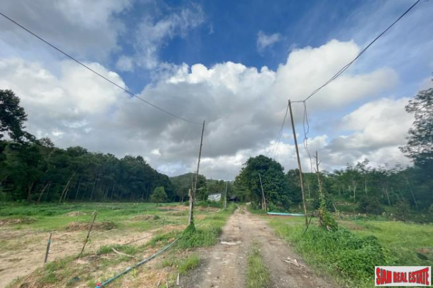 Prime location 98 Rai of land with economic crops near Sametnangshe viewpoint for sale in Phangnga-6