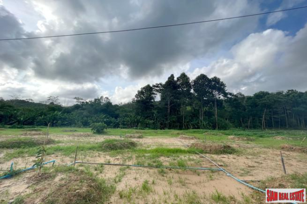 Prime location 98 Rai of land with economic crops near Sametnangshe viewpoint for sale in Phangnga-7
