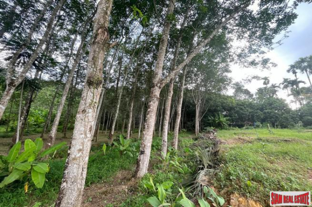 Prime location 98 Rai of land with economic crops near Sametnangshe viewpoint for sale in Phangnga-8