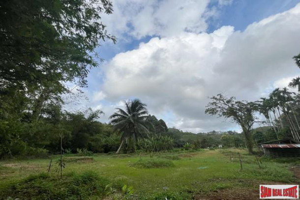 Prime location 98 Rai of land with economic crops near Sametnangshe viewpoint for sale in Phangnga-9