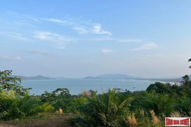 1.5 rai of palm plantation land with a hillside sea view for sale in Takua Thung, Phang Nga.-1
