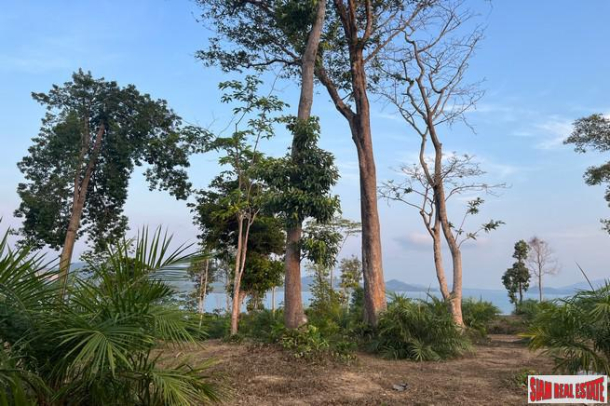 1.5 rai of palm plantation land with a hillside sea view for sale in Takua Thung, Phang Nga.-10