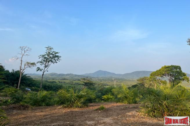1.5 rai of palm plantation land with a hillside sea view for sale in Takua Thung, Phang Nga.-3