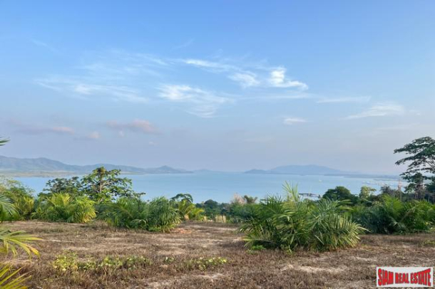 1.5 rai of palm plantation land with a hillside sea view for sale in Takua Thung, Phang Nga.-5
