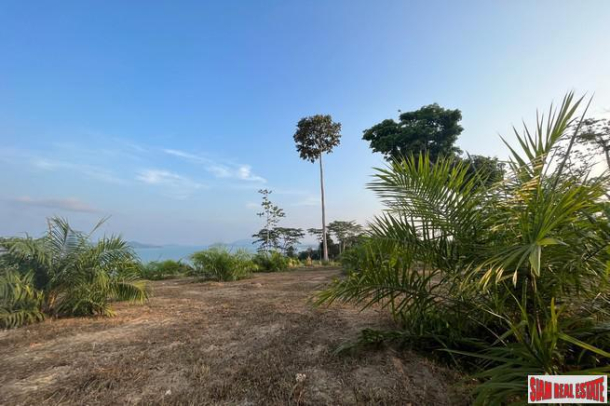 1.5 rai of palm plantation land with a hillside sea view for sale in Takua Thung, Phang Nga.-8