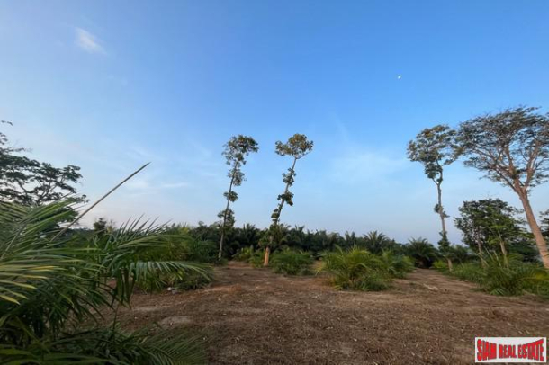 1.5 rai of palm plantation land with a hillside sea view for sale in Takua Thung, Phang Nga.-9