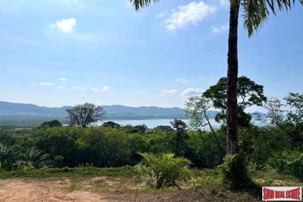 1 rai of palm plantation land with a hillside sea and mountain view for sale in Takua Thung, Phang Nga.-8