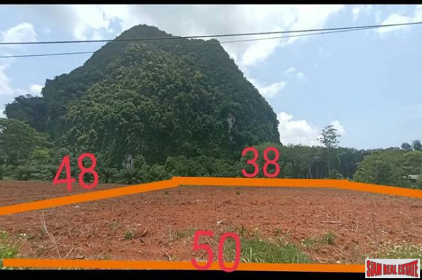Over 1 Rai of Flat Land for Sale in Nong Thaley, Krabi-2