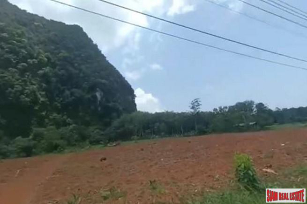Over 1 Rai of Flat Land for Sale in Nong Thaley, Krabi-3