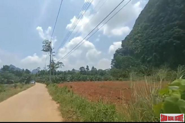 Over 1 Rai of Flat Land for Sale in Nong Thaley, Krabi-4