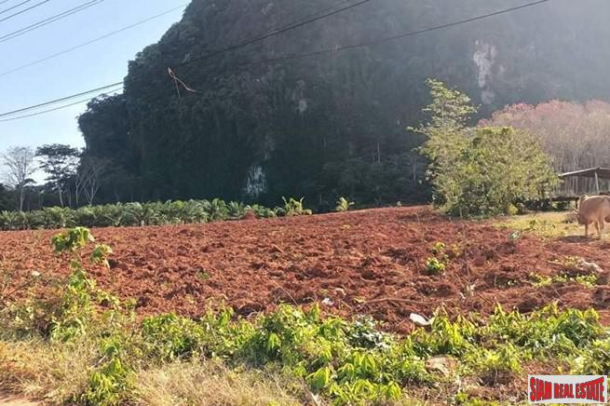 Over 1 Rai of Flat Land for Sale in Nong Thaley, Krabi-5