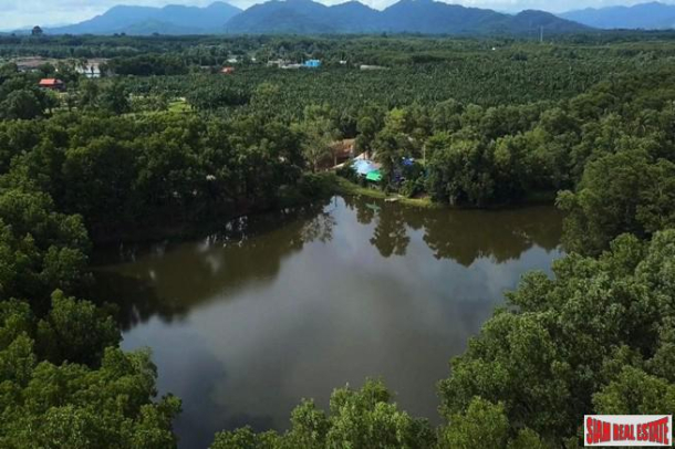 Land for Sale with Beautiful Mountain and River Views in PhangNga-3